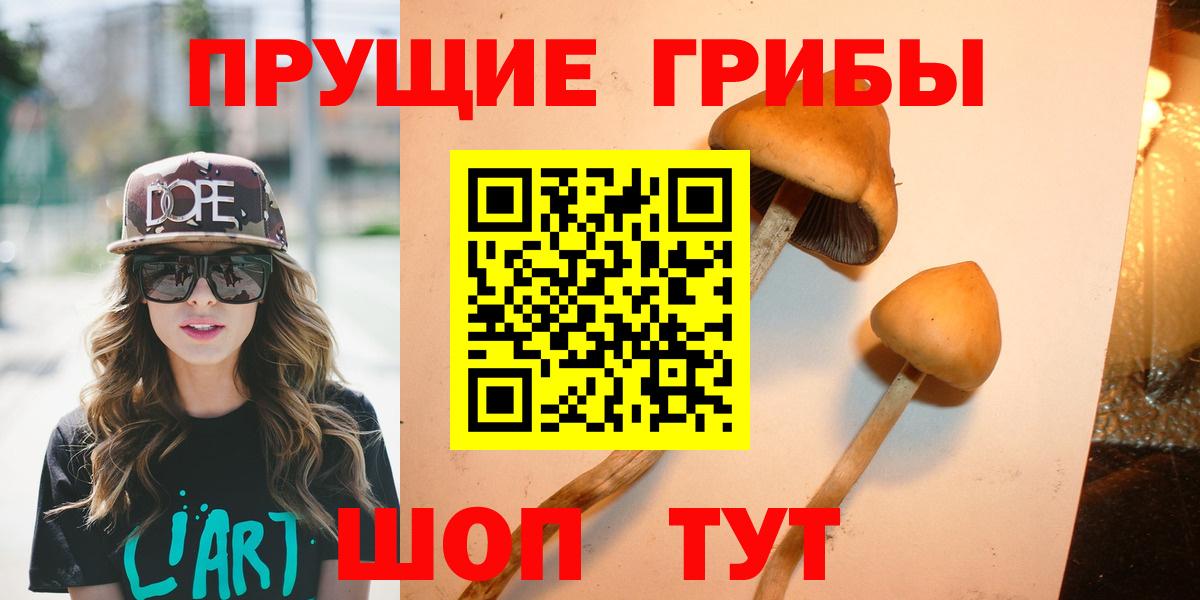 Псилоцибиновые грибы Cubensis Холмск